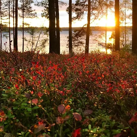 Koskenselaen Lomakylae *