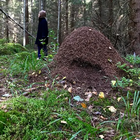 شاليه Koskenselaen Lomakylae بومالا