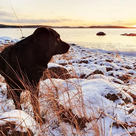 شاليه Koskenselaen Lomakylae بومالا