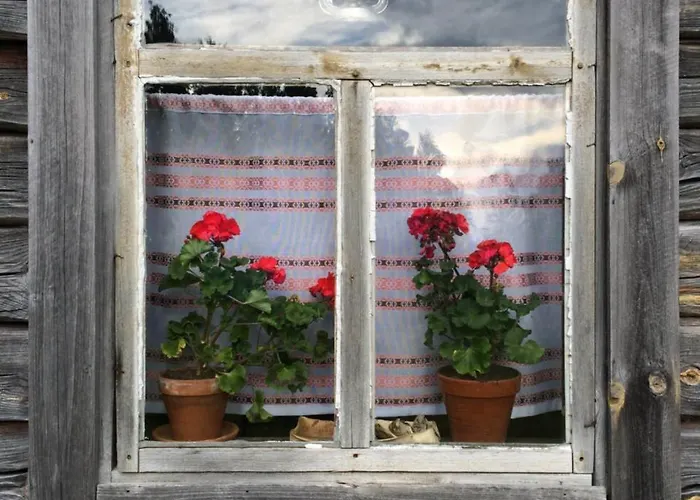 Dağ evi Koskenselaen Lomakylae *