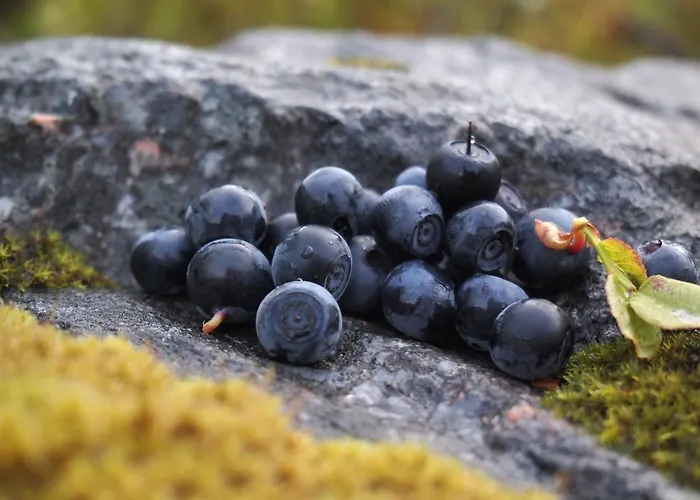 Koskenselaen Lomakylae Alpesi faház
