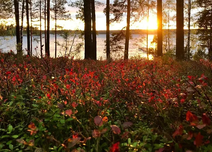 Koskenselaen Lomakylae *