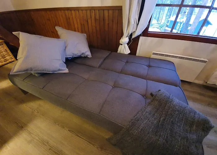 Koskenselaen Lomakylae Puumala