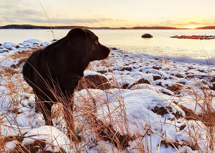 Alpesi faház Koskenselaen Lomakylae Puumala