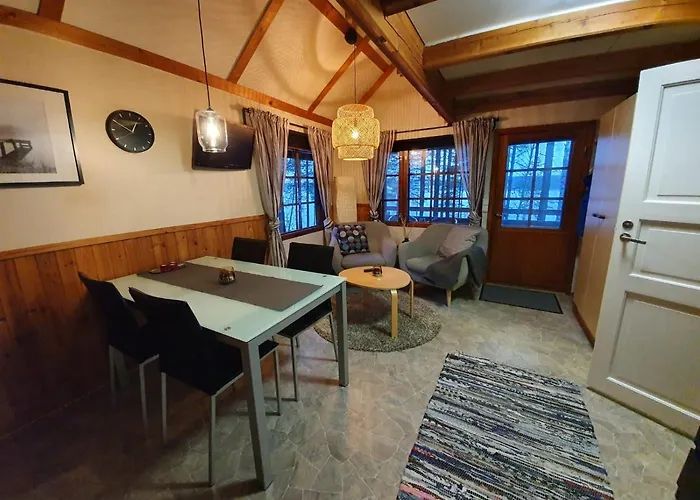 Dağ evi Koskenselaen Lomakylae Puumala